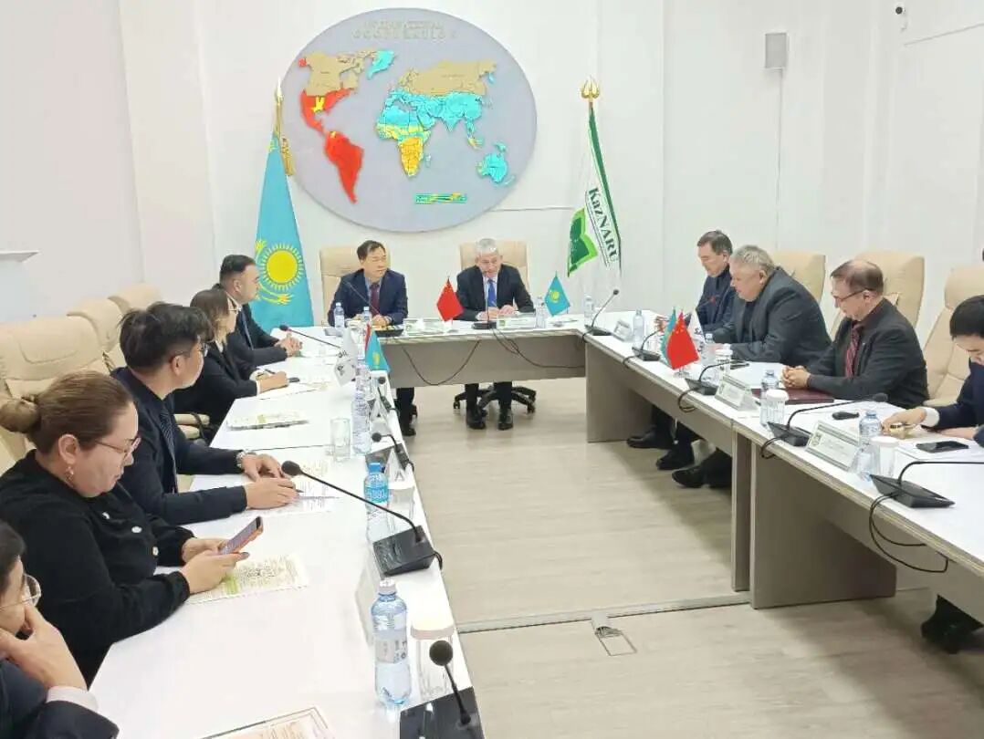 精準(zhǔn)對接中亞資源，聚力深耕產(chǎn)業(yè)協(xié)同 | 中 ...